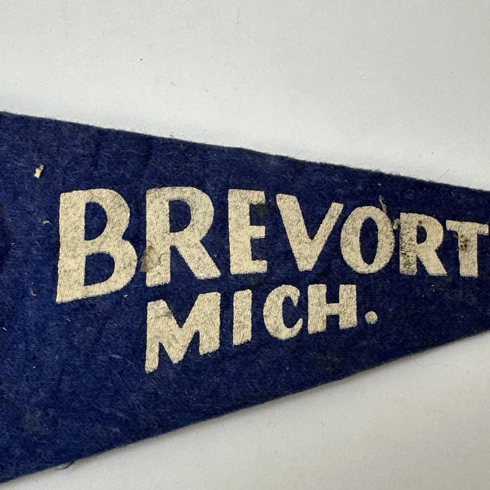 Brevort Michigan Souvenir Pennant Vintage Felt Flag Native American Canoe UP MI